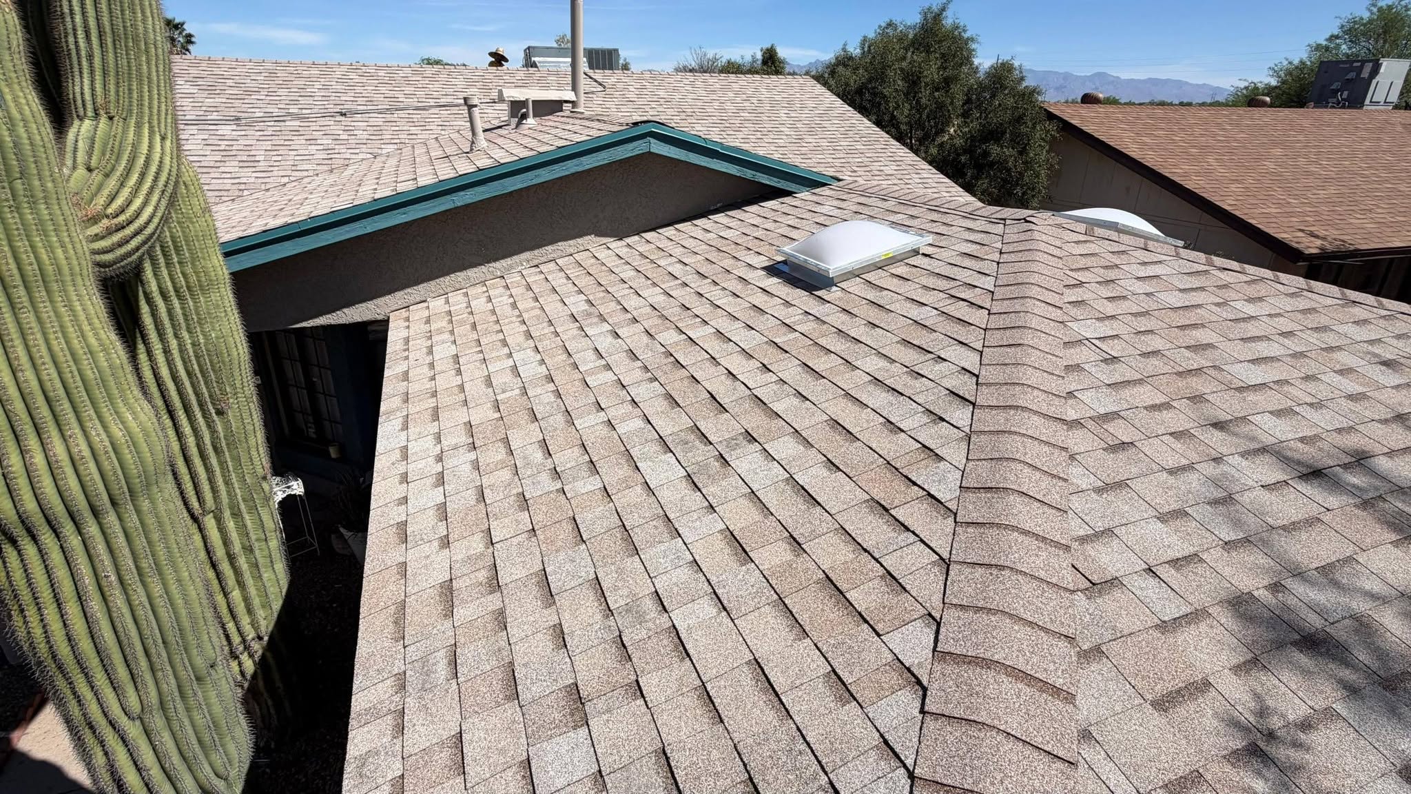 Gray asphalt shingle roof beside a saguaro cactus.